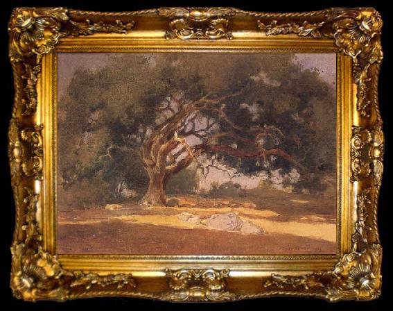 framed  unknow artist Oak Canopy, ta009-2